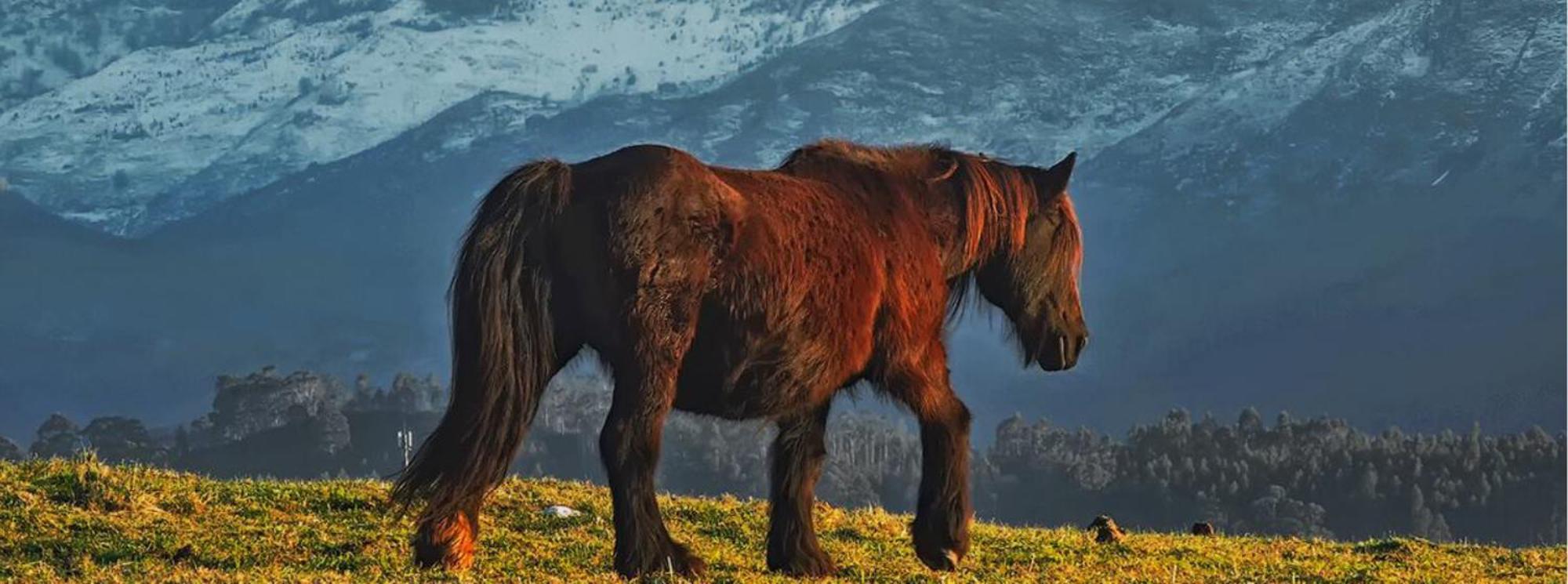 فيلا El Pedroso De Llanes Villahormes المظهر الخارجي الصورة